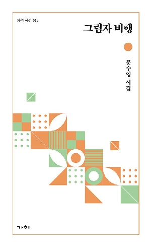 그림자 비행