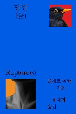 단절 (들)