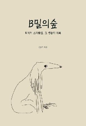 B밀의 숲
