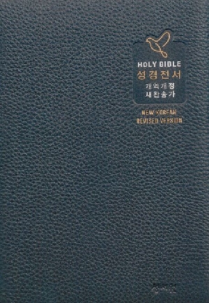성경전서 초코 고급NKR73SB 중 우피