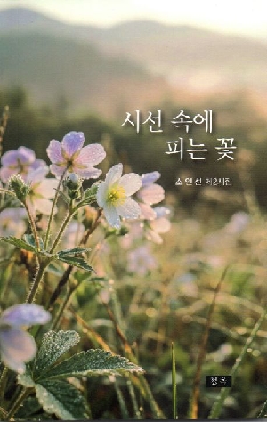 시선 속에 피는 꽃